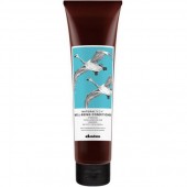 Davines - Well Being Conditioner - Увлажняющий кондиционер для здоровья волос, 60 мл