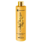 BRELIL - Шампунь для волос с маслом Аргании и Алоэ - Bio Argan Shampoo, 250 мл
